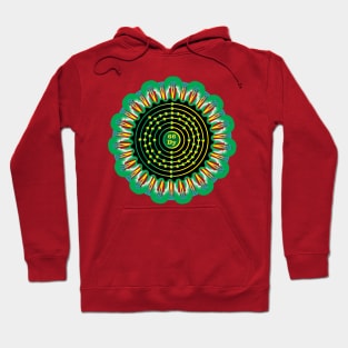 Dysprosium Ornament Hoodie